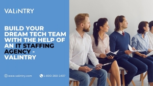 Build Your Dream Tech Team with the Help of an IT Staffing Agency - VALiNTRY